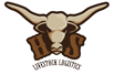 hnscolor_logo